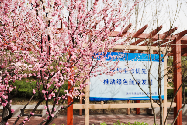 碼頭企業(yè)微信截圖_20250408150644.png